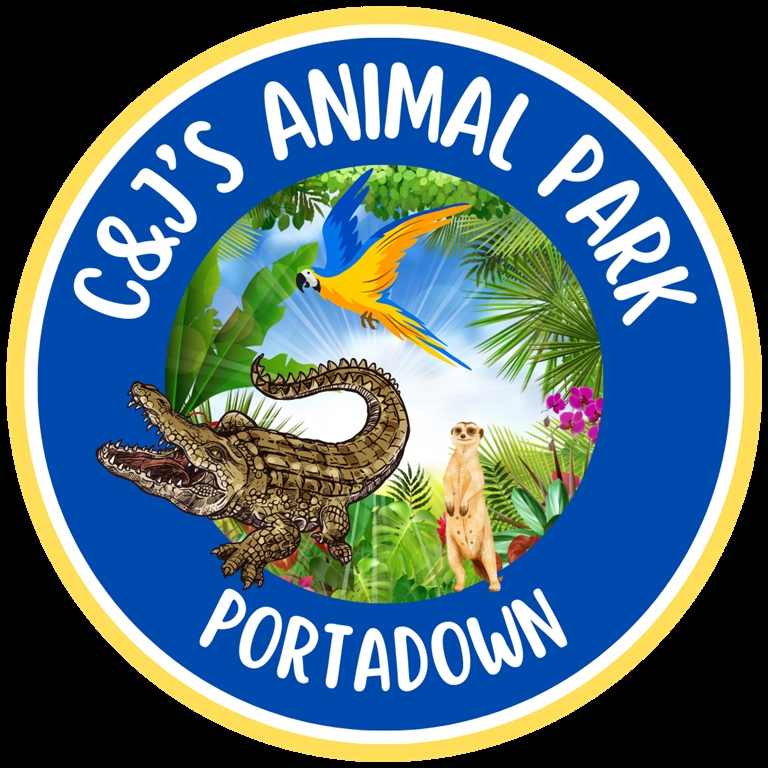 Animal Fun