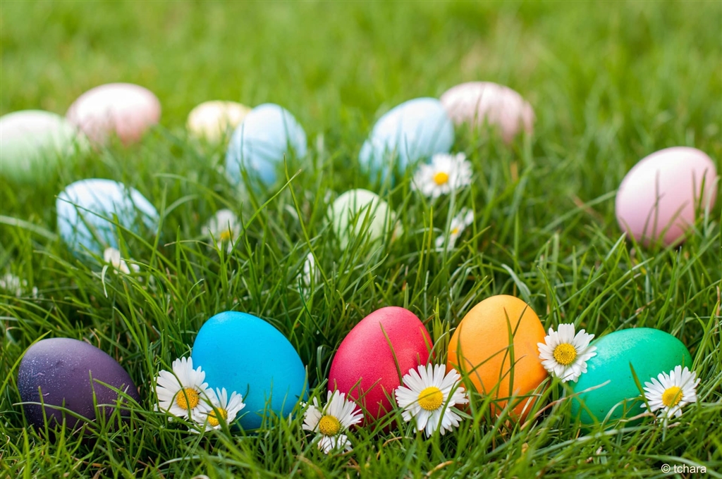 Dad's Club: Easter Egg Trail