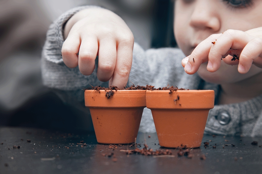 Planting Session